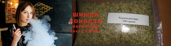 PSILOCYBIN Аркадак