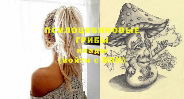 PSILOCYBIN Аркадак